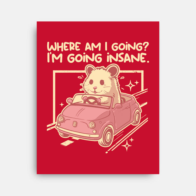 I Am Going Insane-None-Stretched-Canvas-NemiMakeit