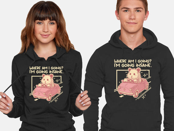 I Am Going Insane