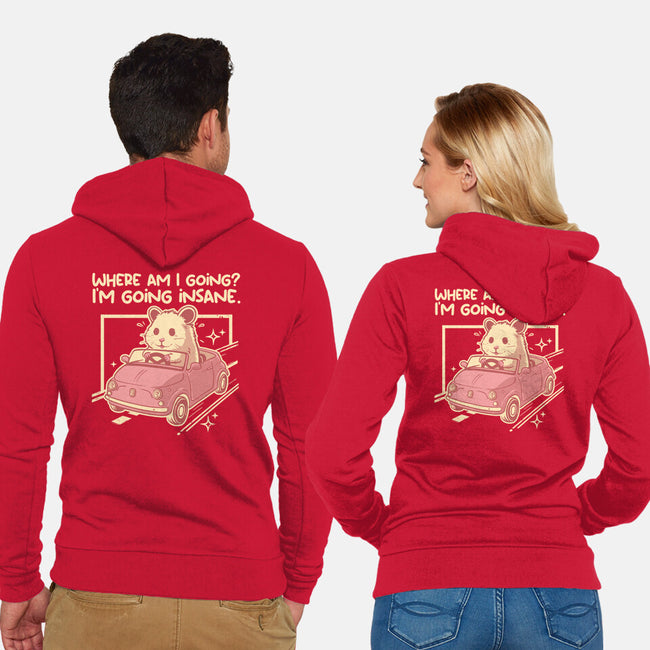 I Am Going Insane-Unisex-Zip-Up-Sweatshirt-NemiMakeit
