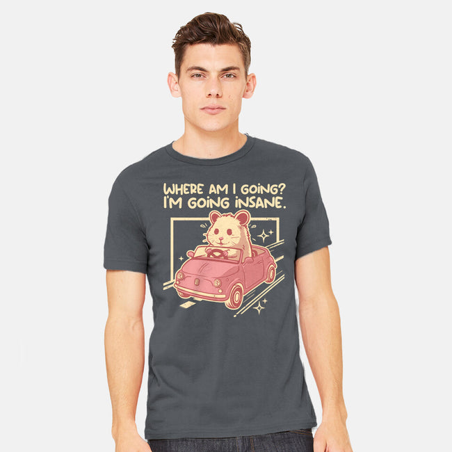 I Am Going Insane-Mens-Heavyweight-Tee-NemiMakeit
