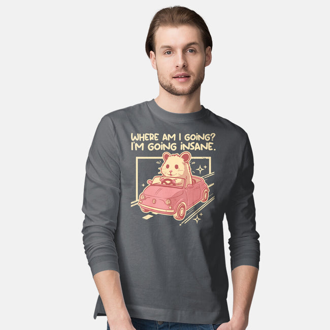 I Am Going Insane-Mens-Long Sleeved-Tee-NemiMakeit