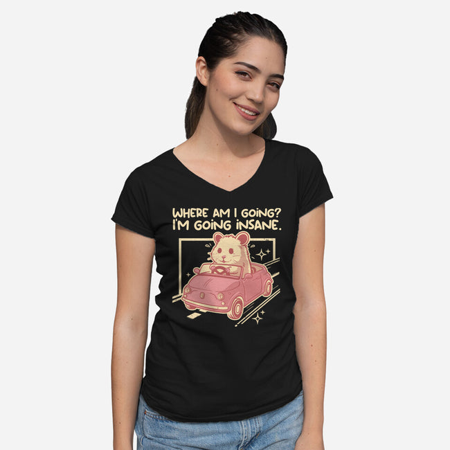 I Am Going Insane-Womens-V-Neck-Tee-NemiMakeit
