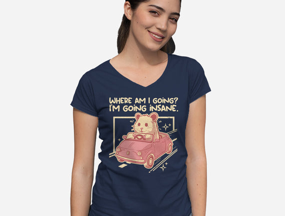 I Am Going Insane
