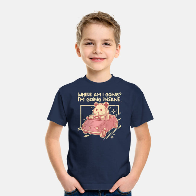I Am Going Insane-Youth-Basic-Tee-NemiMakeit