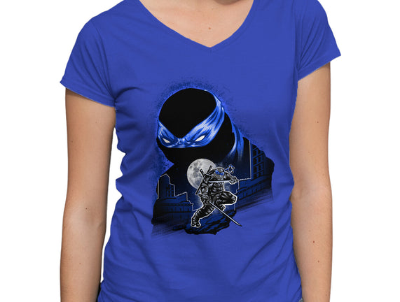 Katana Weilder Ninja