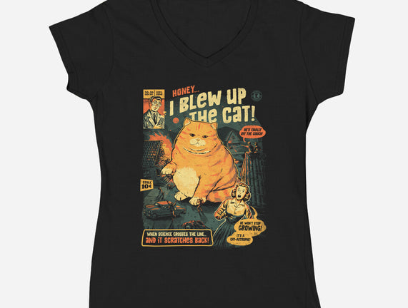 Honey I Blew Up The Cat