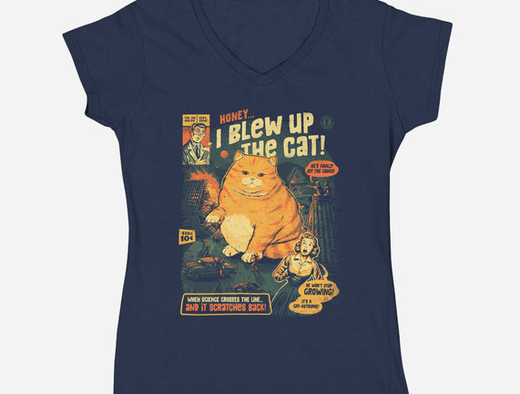 Honey I Blew Up The Cat