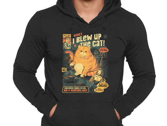 Honey I Blew Up The Cat