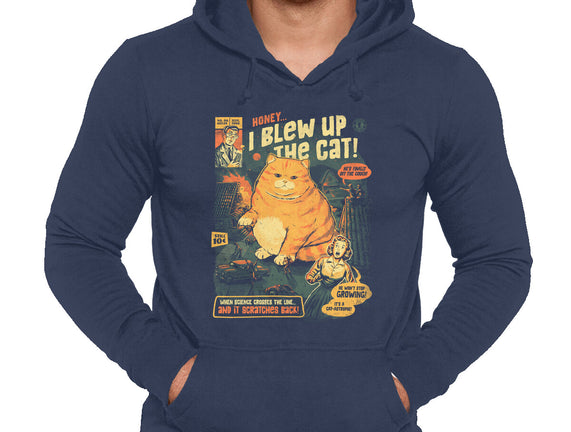 Honey I Blew Up The Cat