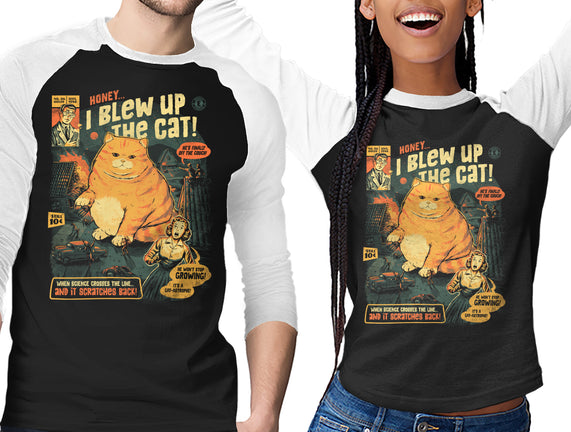 Honey I Blew Up The Cat