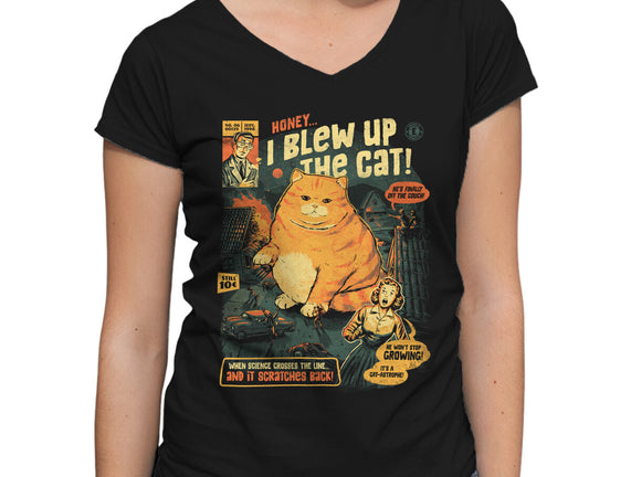 Honey I Blew Up The Cat