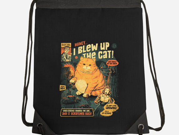 Honey I Blew Up The Cat