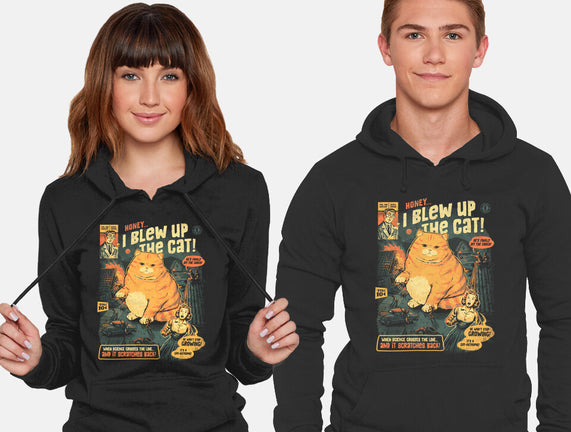 Honey I Blew Up The Cat