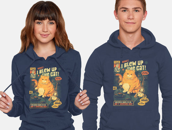 Honey I Blew Up The Cat