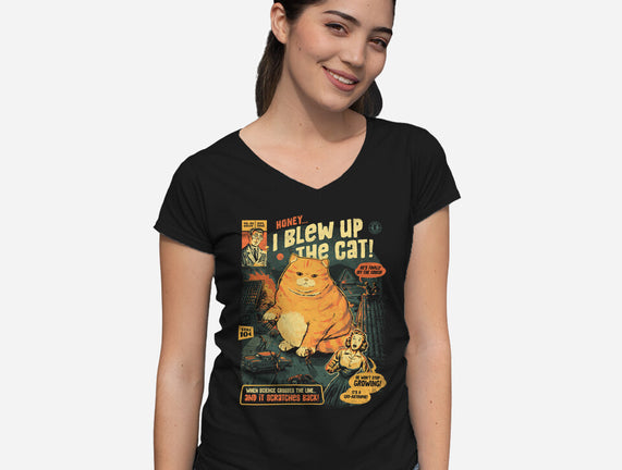 Honey I Blew Up The Cat