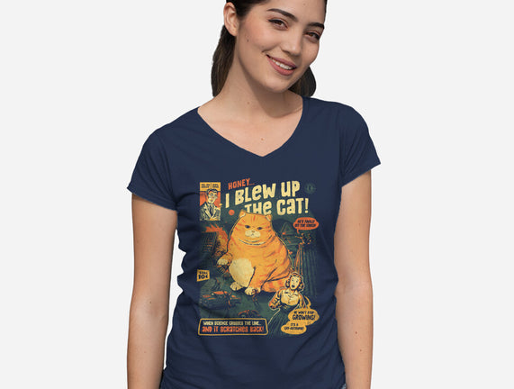 Honey I Blew Up The Cat