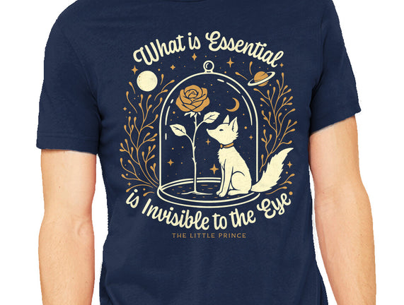 The Rose And The Fox