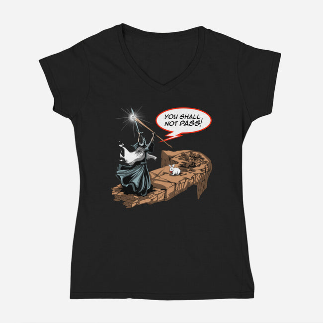 You Shall Not Pass Rabbit-Womens-V-Neck-Tee-zascanauta