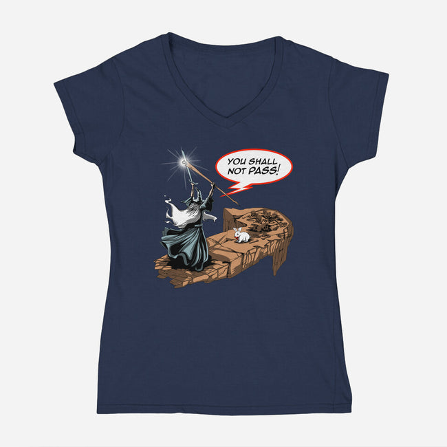 You Shall Not Pass Rabbit-Womens-V-Neck-Tee-zascanauta