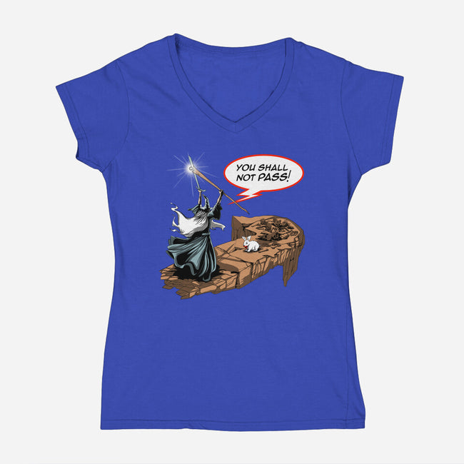 You Shall Not Pass Rabbit-Womens-V-Neck-Tee-zascanauta