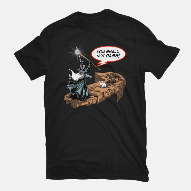 You Shall Not Pass Rabbit-Womens-Fitted-Tee-zascanauta