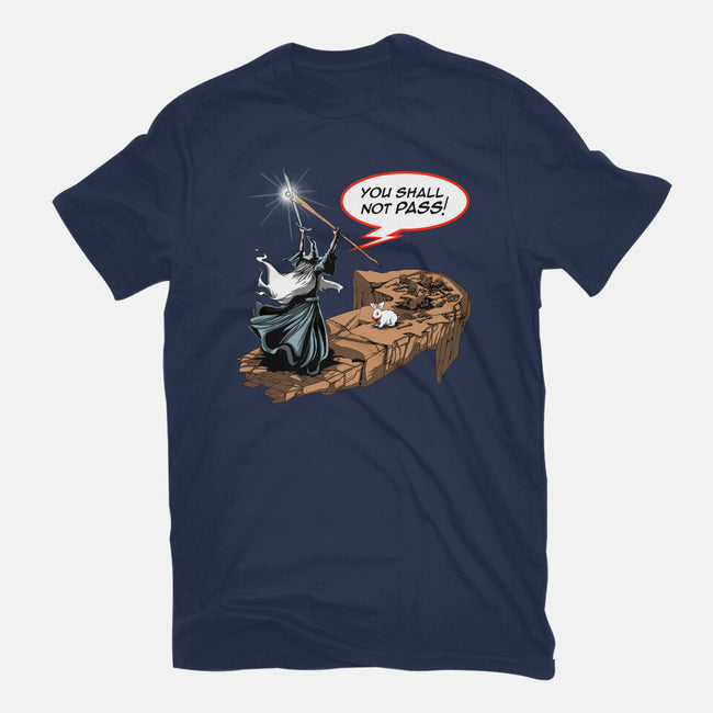 You Shall Not Pass Rabbit-Womens-Fitted-Tee-zascanauta