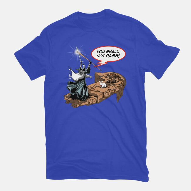 You Shall Not Pass Rabbit-Womens-Fitted-Tee-zascanauta