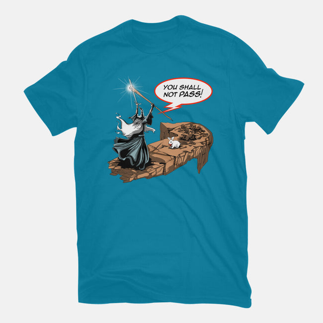 You Shall Not Pass Rabbit-Womens-Fitted-Tee-zascanauta