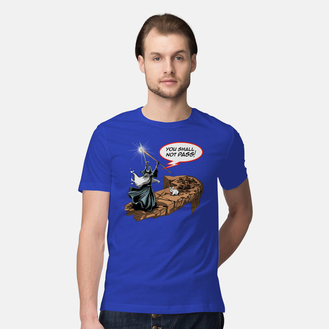 You Shall Not Pass Rabbit-Mens-Premium-Tee-zascanauta