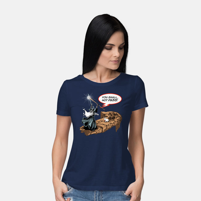 You Shall Not Pass Rabbit-Womens-Basic-Tee-zascanauta