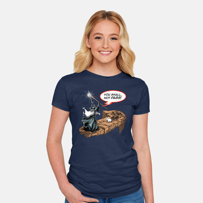 You Shall Not Pass Rabbit-Womens-Fitted-Tee-zascanauta