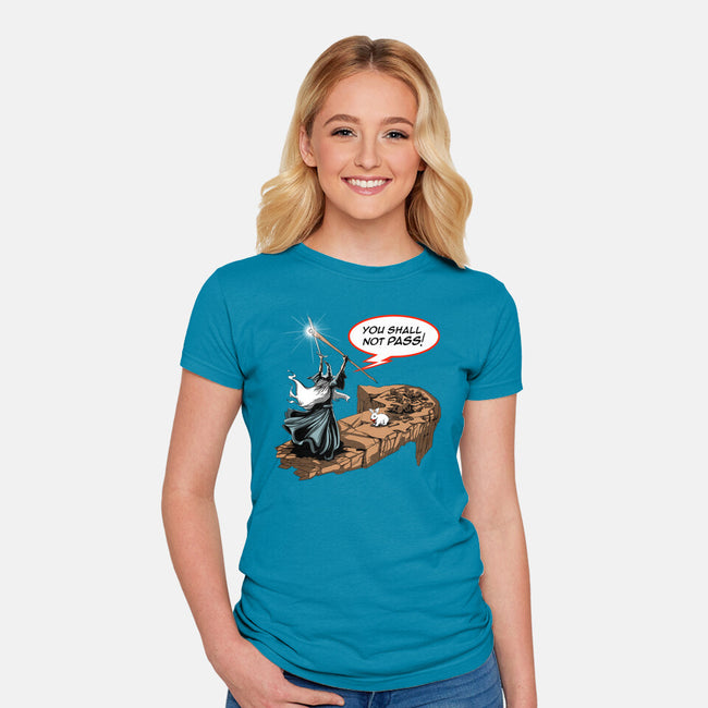 You Shall Not Pass Rabbit-Womens-Fitted-Tee-zascanauta