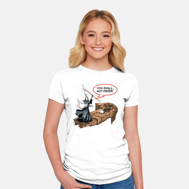 You Shall Not Pass Rabbit-Womens-Fitted-Tee-zascanauta