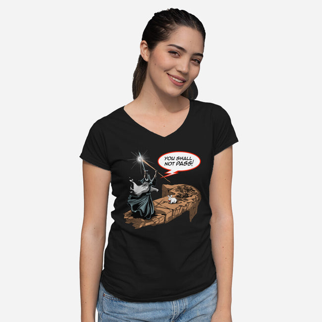 You Shall Not Pass Rabbit-Womens-V-Neck-Tee-zascanauta