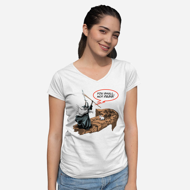 You Shall Not Pass Rabbit-Womens-V-Neck-Tee-zascanauta