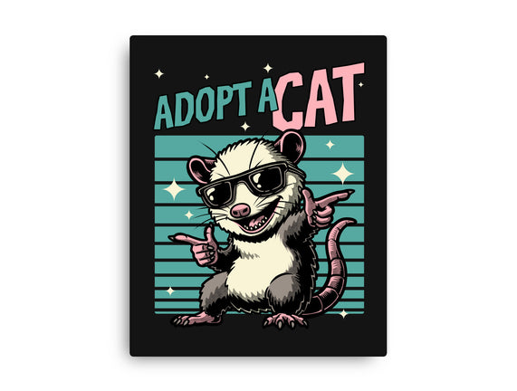 Possum Adopt A Cat