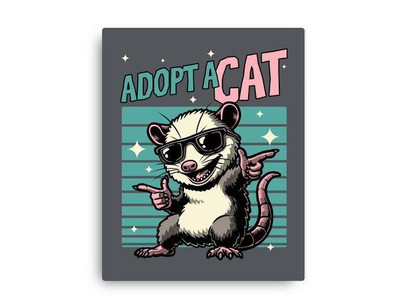 Possum Adopt A Cat