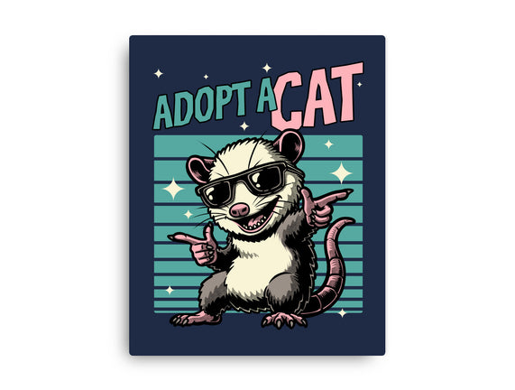 Possum Adopt A Cat