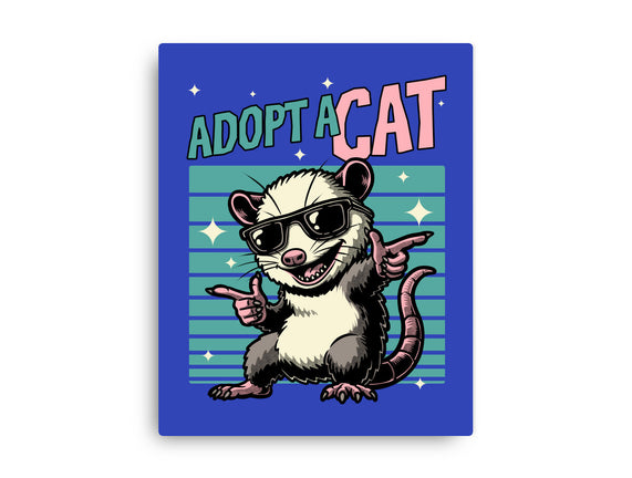 Possum Adopt A Cat