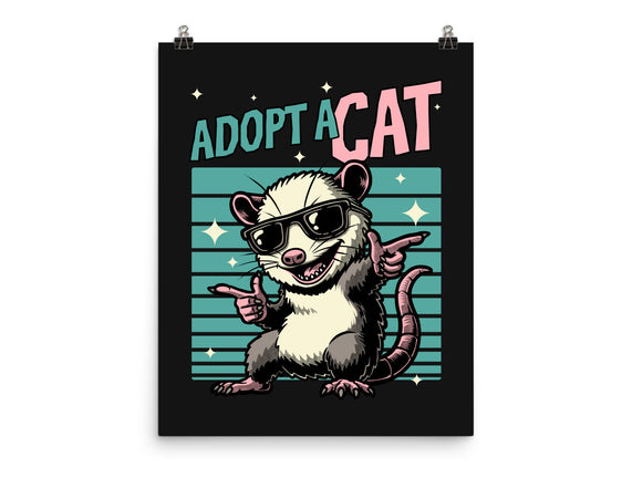 Possum Adopt A Cat