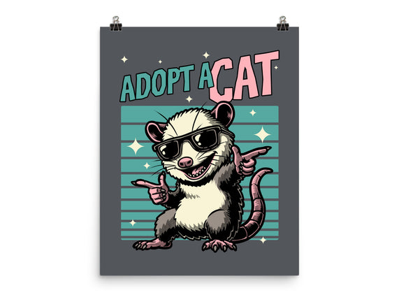 Possum Adopt A Cat