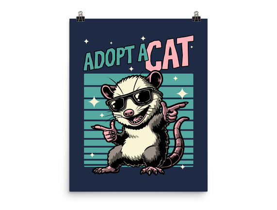 Possum Adopt A Cat