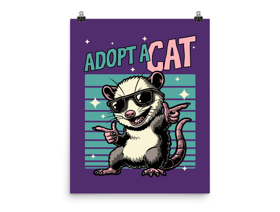 Possum Adopt A Cat