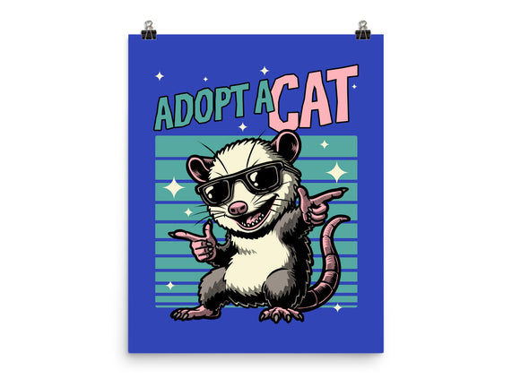 Possum Adopt A Cat