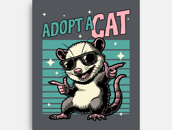 Possum Adopt A Cat