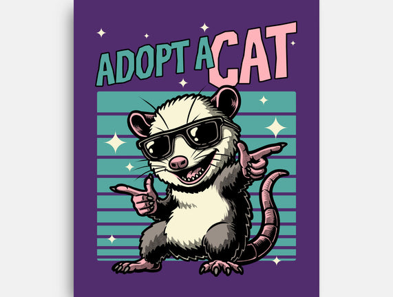 Possum Adopt A Cat
