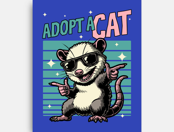 Possum Adopt A Cat