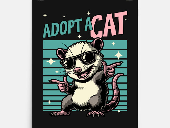Possum Adopt A Cat