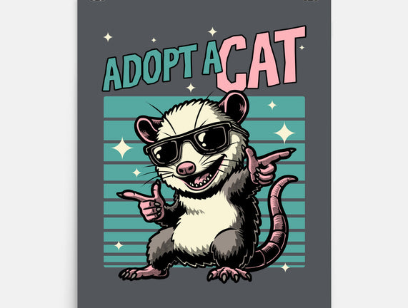 Possum Adopt A Cat