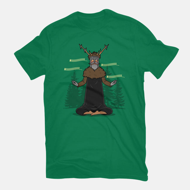 The Knight Who Practices Yoga-Mens-Basic-Tee-Boggs Nicolas